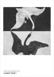Hilma af Klint: The Swan, no 1 ݥ