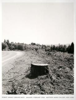 Robert Adams: Turning Back ݥ