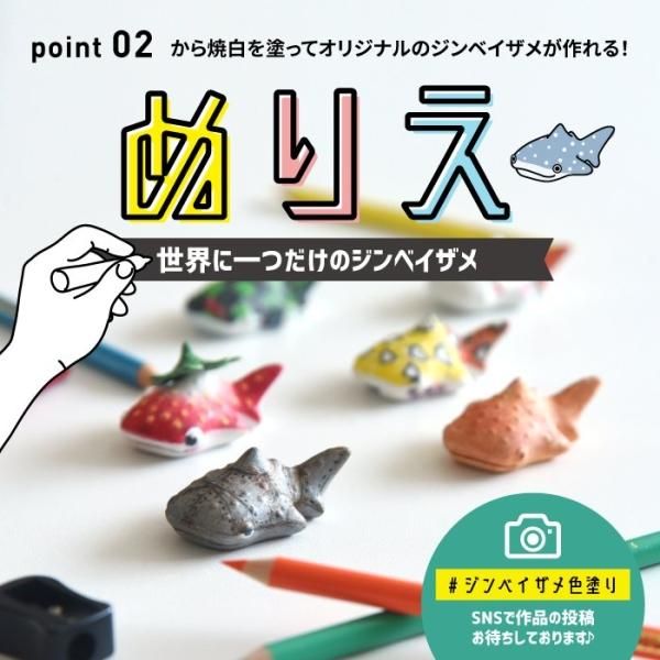 はしおき ジンベイザメ【natural69】公式オンラインショップ