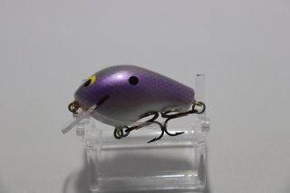 GizmoSilver Back Purple Pearl