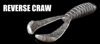 Reverse craw4.3"