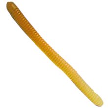 Angle worm 2 1/4