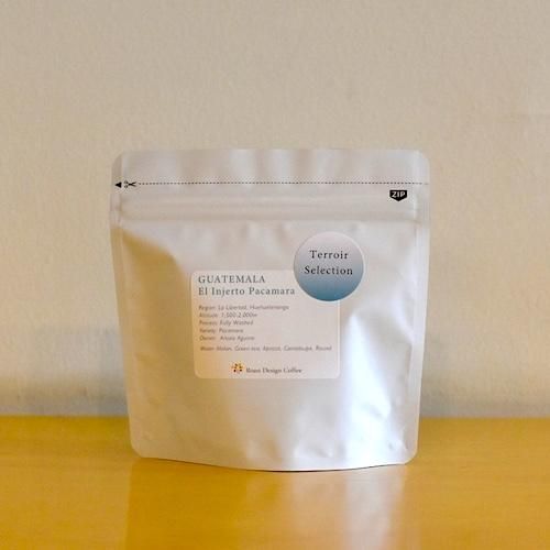 Guatemala El Injerto Pacamara ƥޥ  إ ѥޥ<img class='new_mark_img2' src='https://img.shop-pro.jp/img/new/icons14.gif' style='border:none;display:inline;margin:0px;padding:0px;width:auto;' />