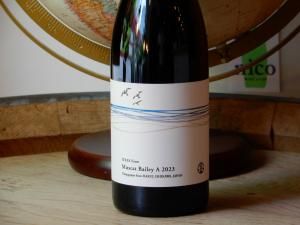 ڸ֡ۥ䡦եࡡMuscat Bailey A  2023(11)