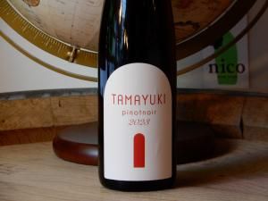 ֡ۥɥ᡼̡ӥTAMAYUKI pinot noir	2023