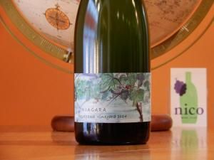 ȯˢۤäݤƣ磻ʥ꡼NIAGARA Hasegawa Vineyard 2024 11 濫