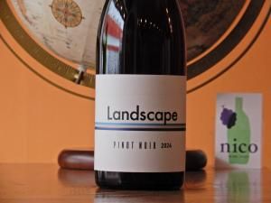 ֡LandscapePINOT NOIR 2024