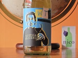 赤】テールドシエル メゾン ルージュ 2024 ※購入条件あり - WINE