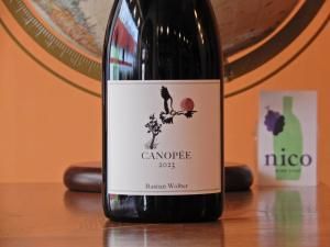 ֡ۥХ󡦥С֥르˥塡ȡɡ롡Τ  2023 1