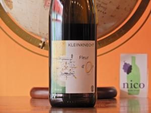 ۥ饤󥯥ͥҥȡե롼 ɡ	2023