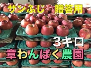 <img class='new_mark_img1' src='https://img.shop-pro.jp/img/new/icons1.gif' style='border:none;display:inline;margin:0px;padding:0px;width:auto;' />դL3£ѡˡR01