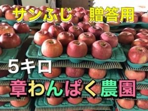 <img class='new_mark_img1' src='https://img.shop-pro.jp/img/new/icons25.gif' style='border:none;display:inline;margin:0px;padding:0px;width:auto;' />դL£ѡˡR02