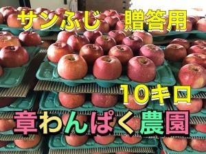 <img class='new_mark_img1' src='https://img.shop-pro.jp/img/new/icons61.gif' style='border:none;display:inline;margin:0px;padding:0px;width:auto;' />դ2L10£ѡˡR03