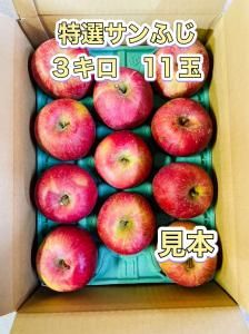 <img class='new_mark_img1' src='https://img.shop-pro.jp/img/new/icons6.gif' style='border:none;display:inline;margin:0px;padding:0px;width:auto;' />դL£ѡˡR05