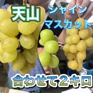 ただいま販売中 - 章わんぱく農園