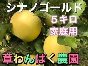 シナノゴールド 家庭用 約5キロ R26<img class='new_mark_img2' src='https://img.shop-pro.jp/img/new/icons25.gif' style='border:none;display:inline;margin:0px;padding:0px;width:auto;' />