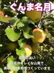 <img class='new_mark_img1' src='https://img.shop-pro.jp/img/new/icons61.gif' style='border:none;display:inline;margin:0px;padding:0px;width:auto;' />特選 ぐんま名月 15キロ (贈答用) R33