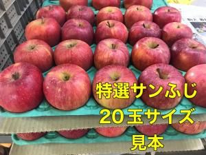 <img class='new_mark_img1' src='https://img.shop-pro.jp/img/new/icons61.gif' style='border:none;display:inline;margin:0px;padding:0px;width:auto;' />դM£ѡˡR10
