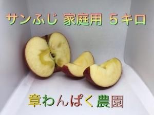 <img class='new_mark_img1' src='https://img.shop-pro.jp/img/new/icons61.gif' style='border:none;display:inline;margin:0px;padding:0px;width:auto;' />դѡR14