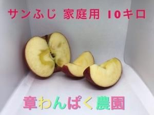 <img class='new_mark_img1' src='https://img.shop-pro.jp/img/new/icons25.gif' style='border:none;display:inline;margin:0px;padding:0px;width:auto;' />դѡ10R15