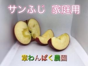 <img class='new_mark_img1' src='https://img.shop-pro.jp/img/new/icons61.gif' style='border:none;display:inline;margin:0px;padding:0px;width:auto;' />サンふじ 家庭用 15キロ R16