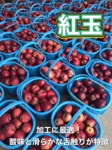 <img class='new_mark_img1' src='https://img.shop-pro.jp/img/new/icons51.gif' style='border:none;display:inline;margin:0px;padding:0px;width:auto;' />ȶ̡ѡ2.8R55