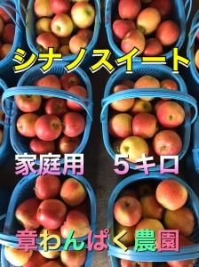 <img class='new_mark_img1' src='https://img.shop-pro.jp/img/new/icons25.gif' style='border:none;display:inline;margin:0px;padding:0px;width:auto;' />ʥΥȡѡ󣵥 R76
