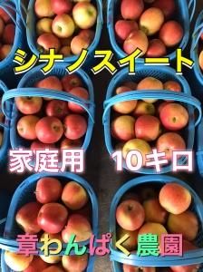サンケイ　シャインと天山　家庭用　合計14キロ　章わんぱく農園 お得な家庭用 - 章わんぱく農園