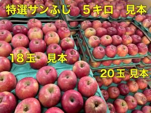 <img class='new_mark_img1' src='https://img.shop-pro.jp/img/new/icons61.gif' style='border:none;display:inline;margin:0px;padding:0px;width:auto;' />特選サンふじ L 15キロ(贈答用) R08