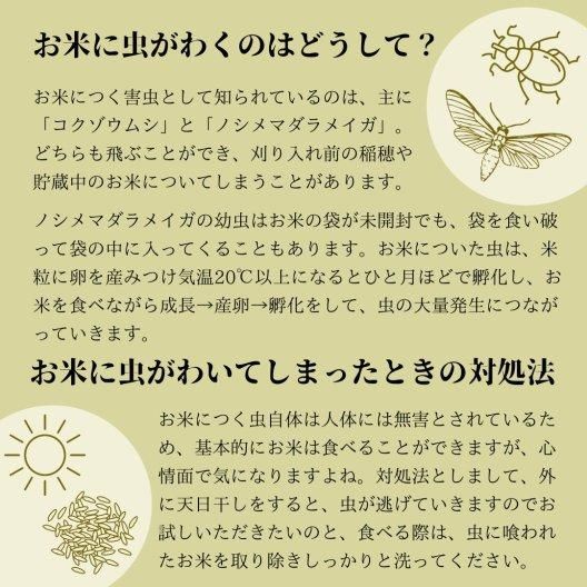 スマート米 | 石川県奥能登産 コシヒカリ | 無洗米玄米 5kg