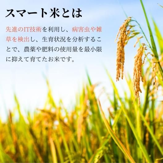 Amazon.co.jp: スマート米 無洗米 玄米 新潟県新発田産 こし