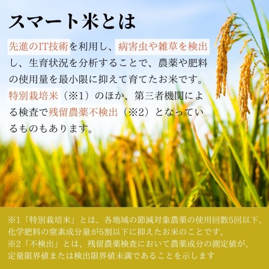 令和5年産 スマート米 山形県産 はえぬき 精米 (節減対象農薬40%以下