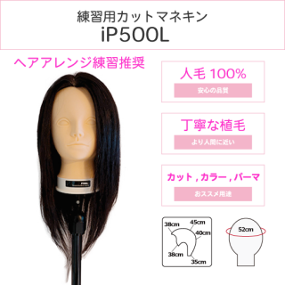 美容師国家試験本番用ウィッグ カットウィッグ 躓く