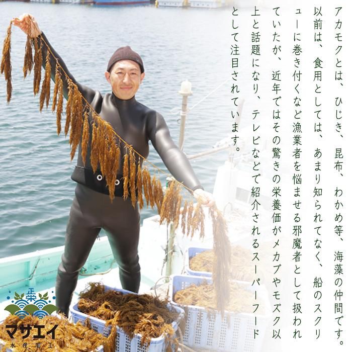 福岡県宗像市宗像のアカモクあかもっくん - 栄養たっぷり！あかもく