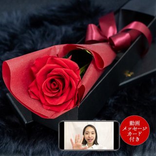 動画メッセージカード付 プレミアムプリザーブドローズ 大輪1本薔薇花束 ギフトボックス