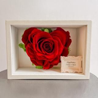 Heartelle ϡȷե졼 ¸ù[ץꥶ֥ɥե]