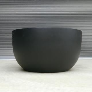 オリーブ古木・ユッカロストラータを常時100本以上販売 - 全国