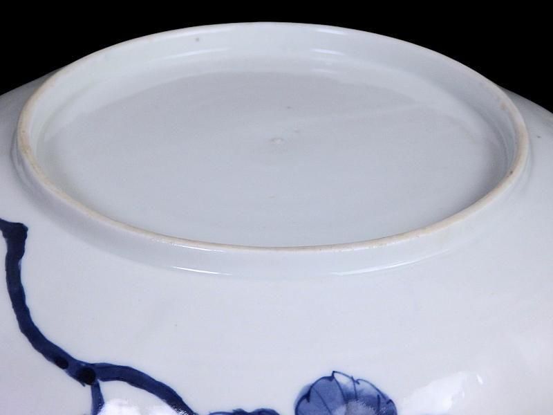 古伊万里 染付 菊花模様図 7寸半皿