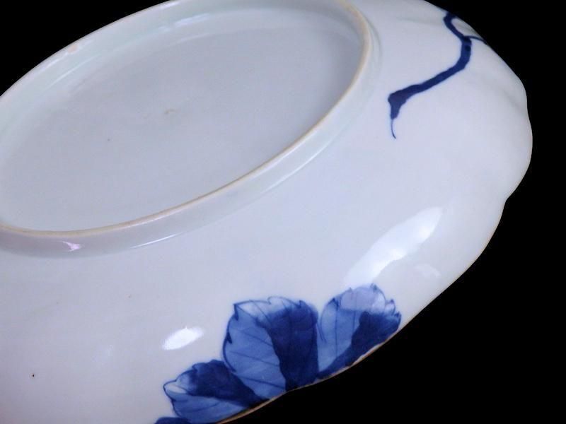 古伊万里 染付 菊花模様図 7寸半皿