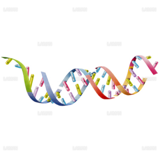 分断されたDNA（Sサイズ）