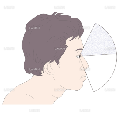 正常眼で見える範囲 Sサイズ Laiman Stockweb メディカルイラスト素材のダウンロード販売 正常眼で見える範囲 Sサイズ Laiman Stockweb メディカルイラスト素材のダウンロード販売