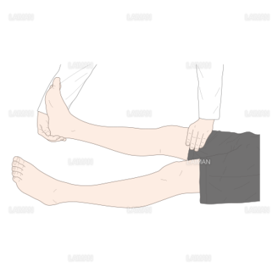 ホーマンズ徴候 Sサイズ Laiman Stockweb メディカルイラスト素材のダウンロード販売 ホーマンズ徴候 Sサイズ Laiman Stockweb メディカルイラスト素材のダウンロード販売