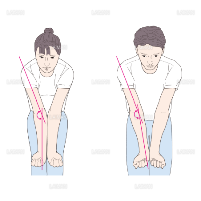 肘関節の男女の違い Sサイズ Laiman Stockweb メディカルイラスト素材のダウンロード販売