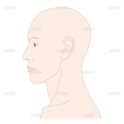 男性の頭部側面 mサイズ Laiman Stockweb メディカルイラスト素材のダウンロード販売 男性の頭部側面 mサイズ Laiman Stockweb メディカルイラスト素材のダウンロード販売
