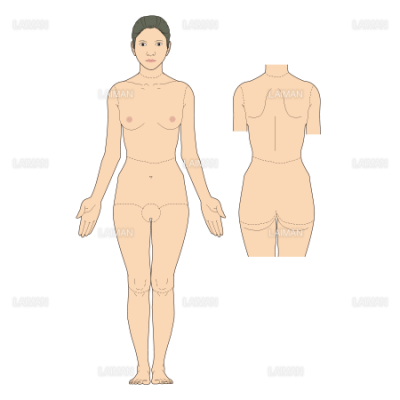 九の法則 体表 mサイズ Laiman Stockweb メディカルイラスト素材のダウンロード販売 九の法則 体表 mサイズ Laiman Stockweb メディカルイラスト素材のダウンロード販売