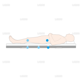 ベットの屈曲位置と身体の屈曲位置 （Ｍサイズ）