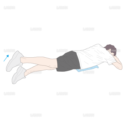 下肢 体幹筋力増強訓練 股関節伸展運動 Sサイズ Laiman Stockweb メディカルイラスト素材のダウンロード販売 下肢 体幹筋力増強訓練 股関節伸展運動 Sサイズ Laiman Stockweb メディカルイラスト素材のダウンロード販売