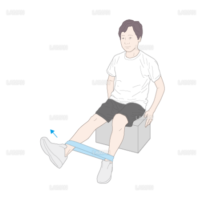 下肢 体幹筋力増強訓練 座位での膝伸展運動 ｍサイズ Laiman Stockweb メディカルイラスト素材のダウンロード販売