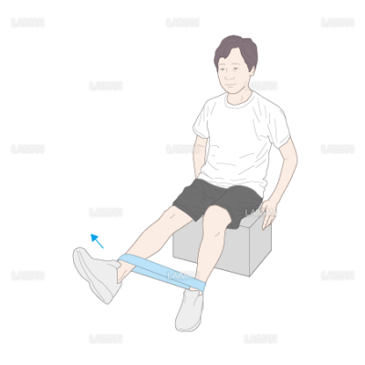 下肢 体幹筋力増強訓練 座位での膝伸展運動 mサイズ Laiman Stockweb メディカルイラスト素材のダウンロード販売 下肢 体幹筋力増強訓練 座位での膝伸展運動 mサイズ Laiman Stockweb メディカルイラスト素材のダウンロード販売