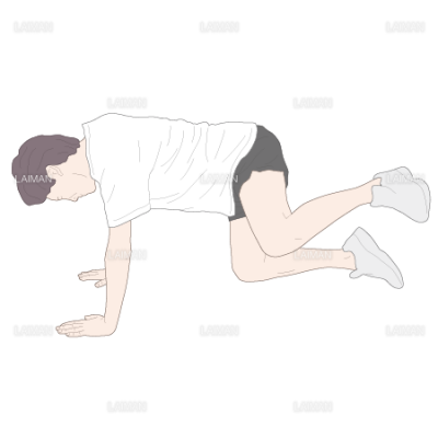 四つんばい姿勢からの上下肢を浮かす運動 mサイズ Laiman Stockweb メディカルイラスト素材のダウンロード販売 四つんばい姿勢からの上下肢を浮かす運動 mサイズ Laiman Stockweb メディカルイラスト素材のダウンロード販売